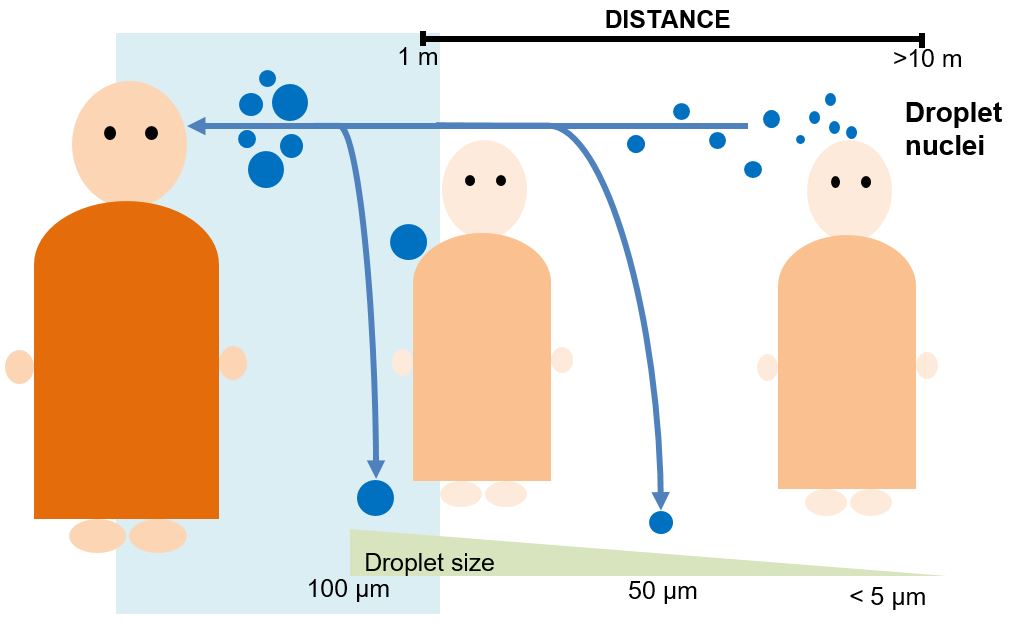 Relationship between droplets size and airborne dispersion. 